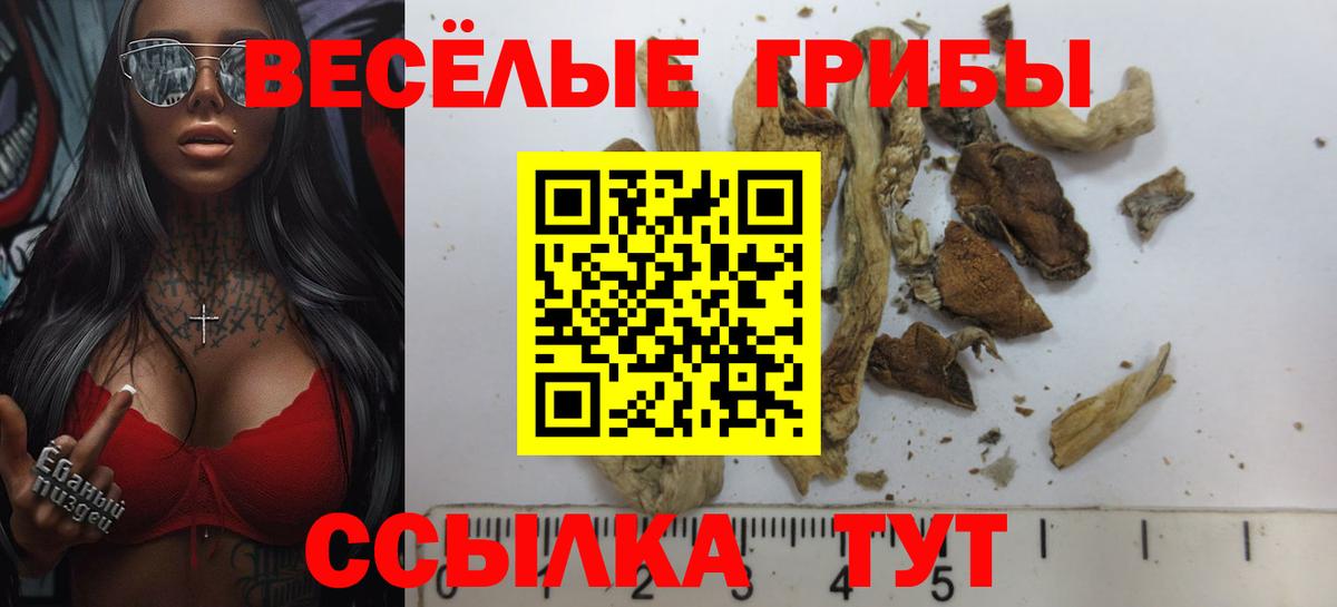 Псилоцибиновые грибы GOLDEN TEACHER Феодосия